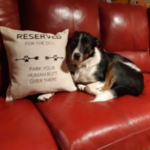 Meet your Posher, Natasha